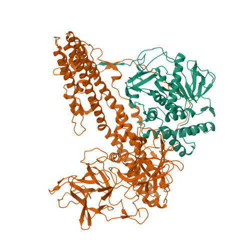 Structure 9VI0