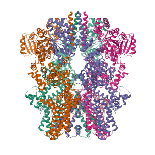 RCSB PDB - 9VJN: Cryo-EM structure of TRP melastatin channel in the ...