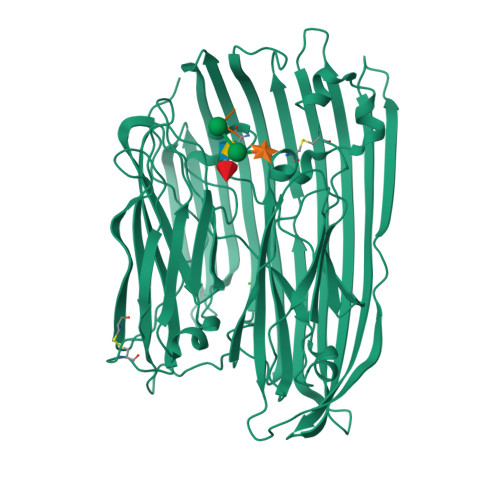 Vla Structure RCSB PDB - 9VLA: Crystal structure of PNGase Bb in complex with MUXF ...