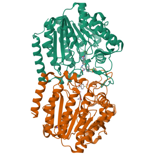 Structure 9VLP