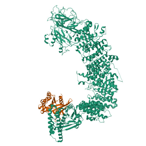 Structure 9VM2