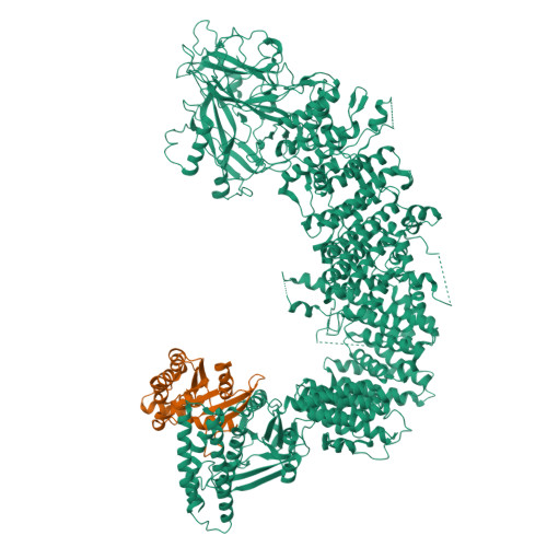 Structure 9VM4