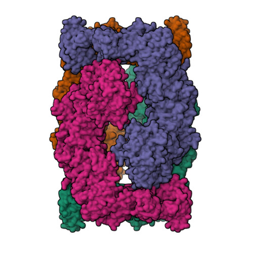 Structure 9VM6