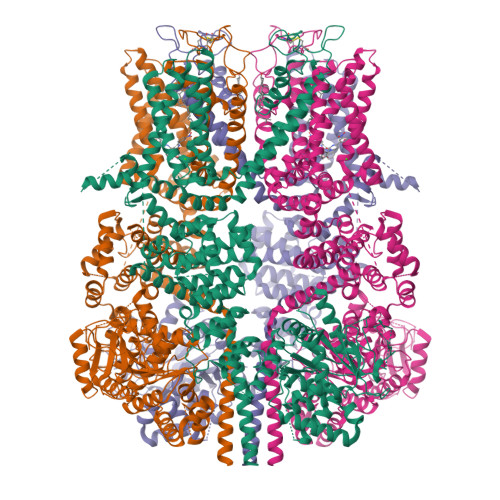 Structure 9VNC
