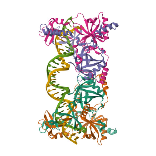 RCSB PDB - 9VNQ: Bacillus Subtilis Ku core homodimer complexed with ...