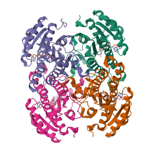 Structure 9VNS