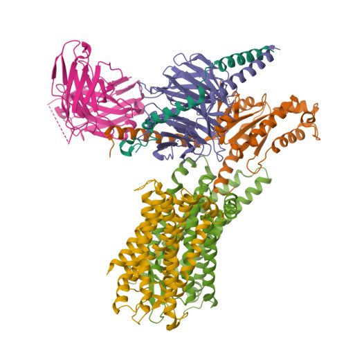 Structure 9VPM