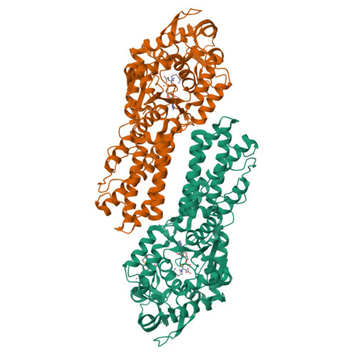 Structure 9VR2