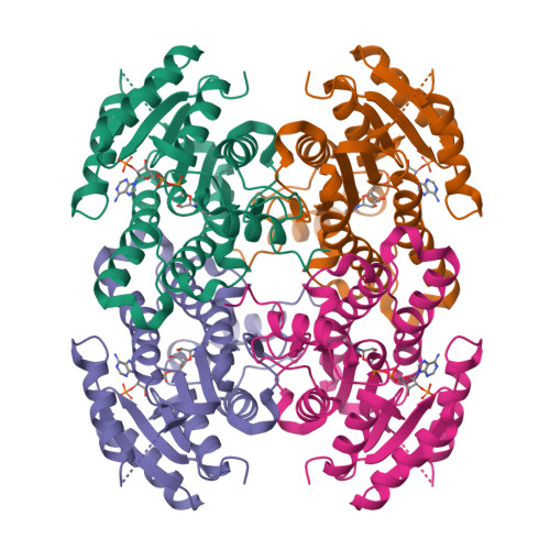 Structure 9VS0