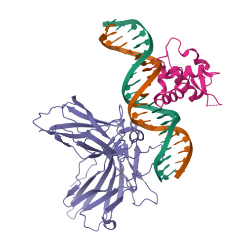 Structure 9VS2