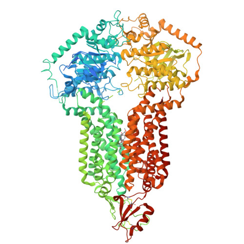 Structure 9VSU