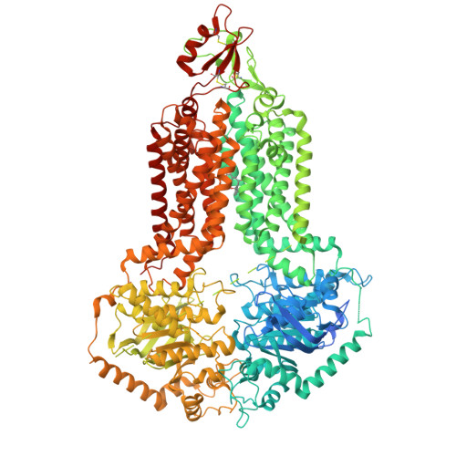 Structure 9VSV