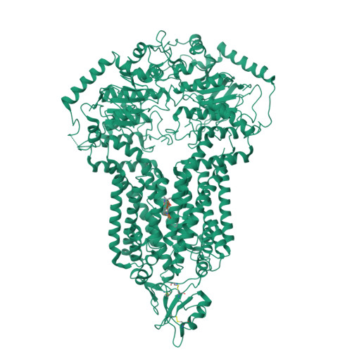 Structure 9VSW