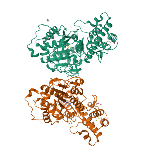 RCSB PDB - 9VSX: Peptide Asparaginyl Ligases from Viola dissecta
