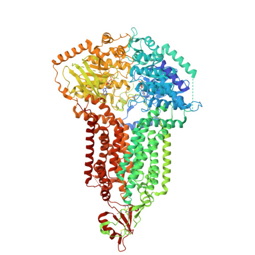 Structure 9VT1