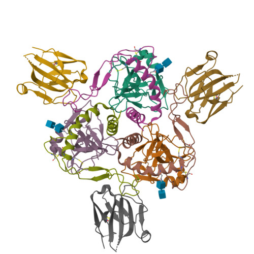 Structure 9VT4