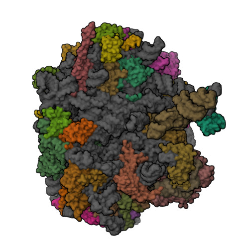 Structure 9VTG