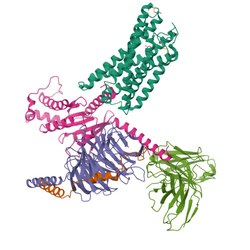 Structure 9VV6