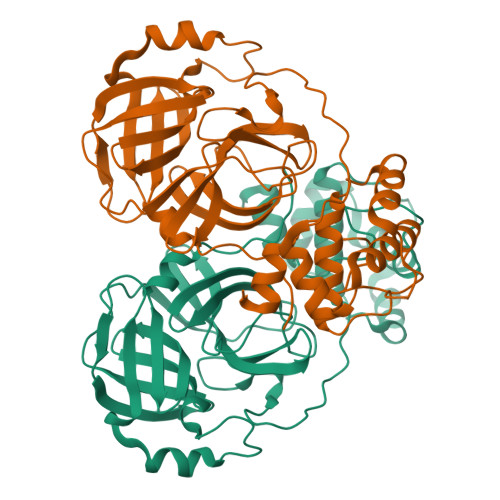 Structure 9VVC