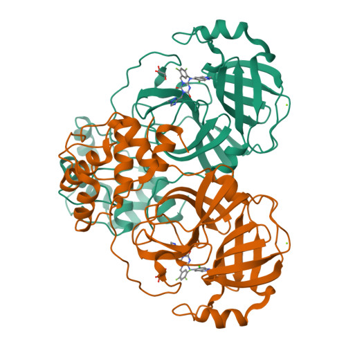 Structure 9VVF