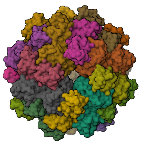 Structure 9VWJ