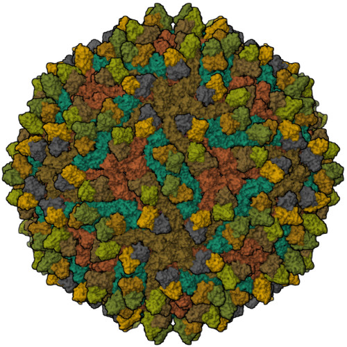 Structure 9VWM