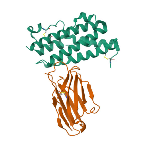 Structure 9VWP