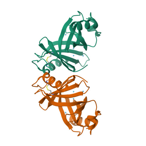 Structure 9VY7