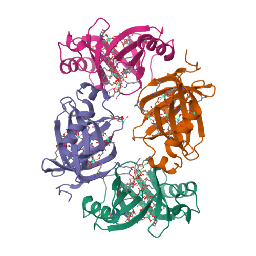Structure 9VY9