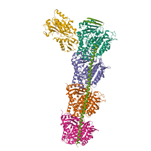 Structure 9VYM