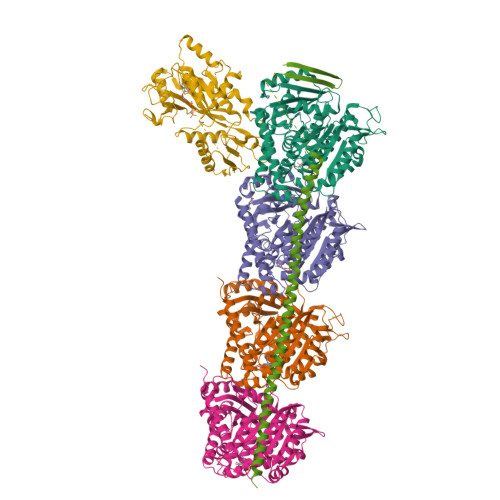 Structure 9VZ1