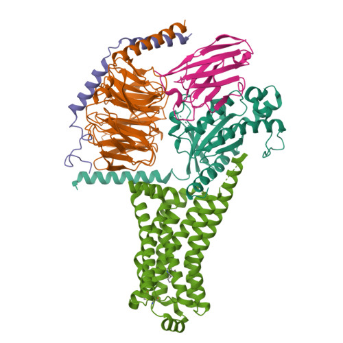 Structure 9VZ2