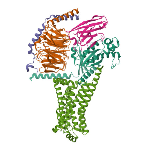 Structure 9VZ3