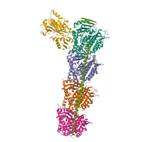 Structure 9VZ6