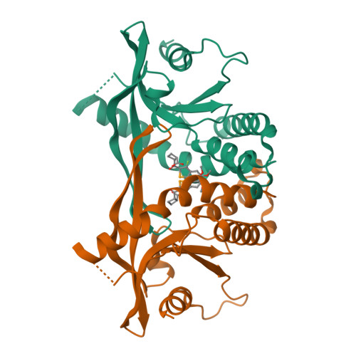Structure 9VZG