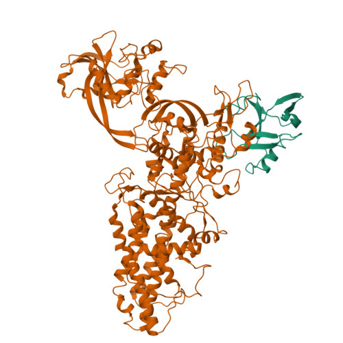 Structure 9W01