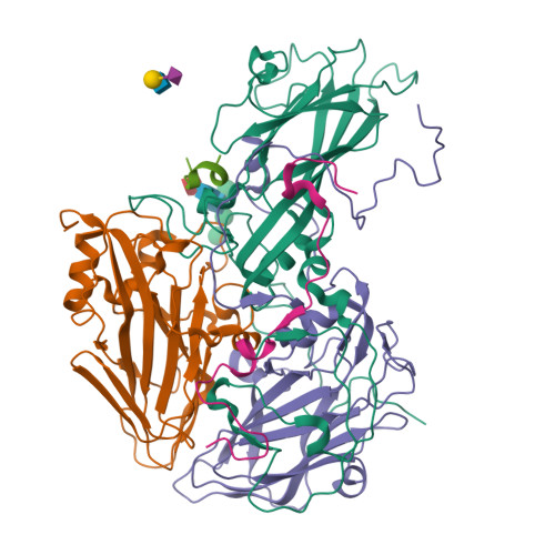 Structure 9W0G