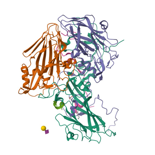 Structure 9W0I