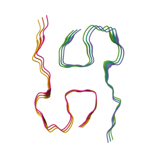 Structure 9W0Z
