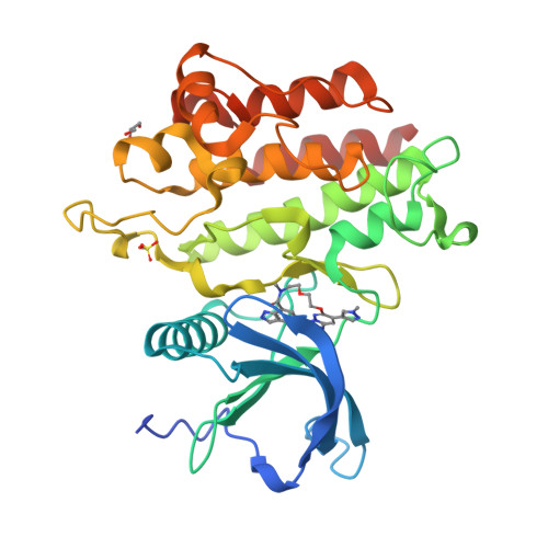 Structure 9W19