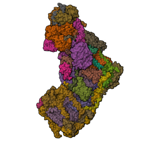 RCSB PDB - 9W2V: Cryo-EM structure of complex I on the bovine heart ...