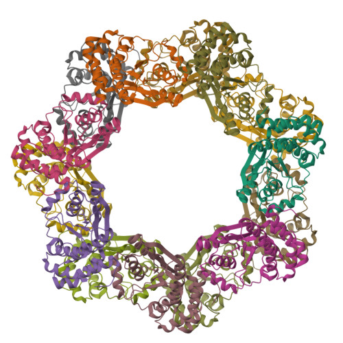 Structure 9W3P