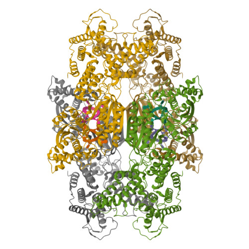 RCSB PDB - 9W3W: Structure of Csm6 from Actinomyces procaprae in ...