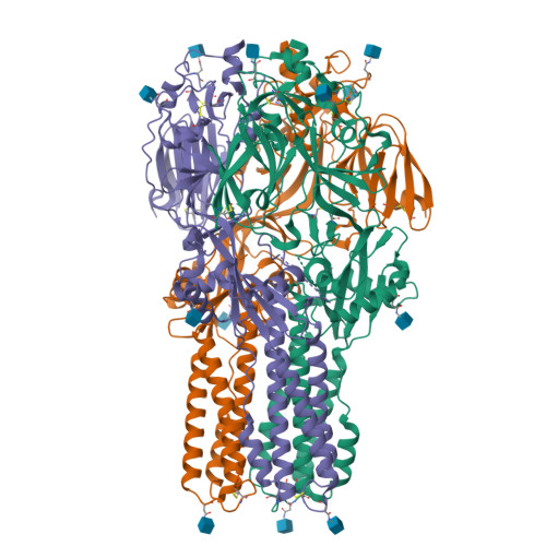 Structure 9W4C
