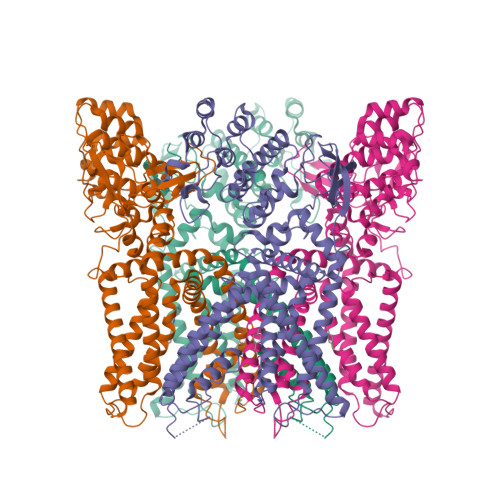 RCSB PDB - 9W4N: Structure of rat TRPV1 in complex with SB-366791