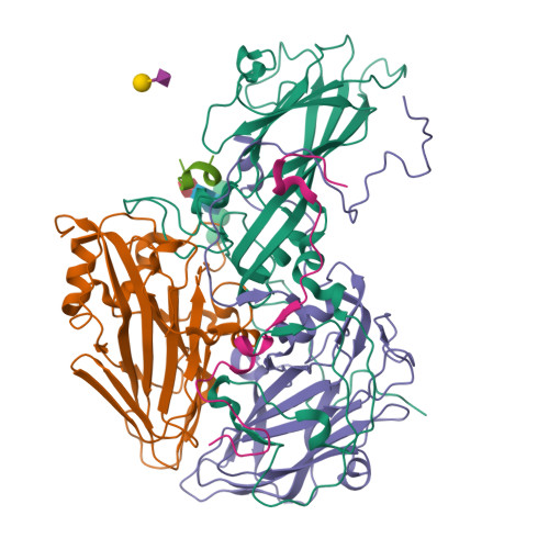 Structure 9W4Y