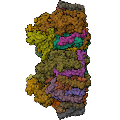 Structure 9W5B