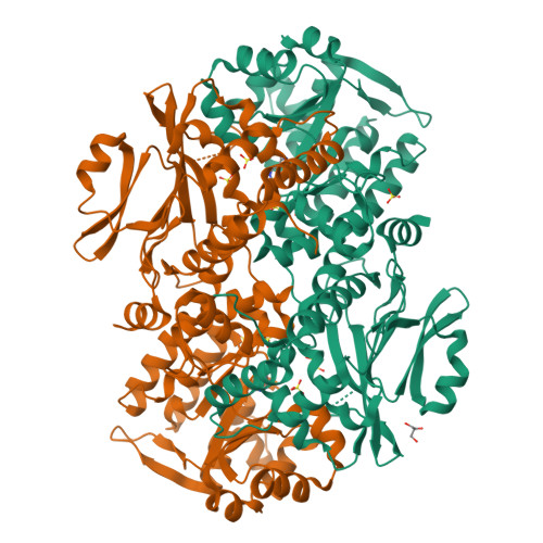 RCSB PDB - 9W5X: Crystal structure of Namat in complex with nicotinamide