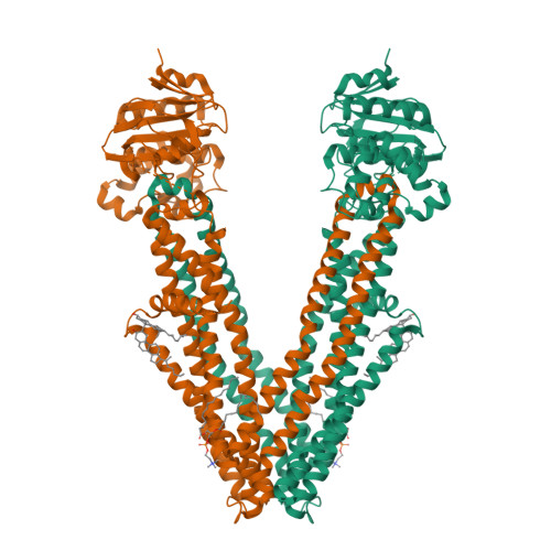 RCSB PDB - 9W62: Cryo-EM structure of human ABCD3 in inward-facing ...