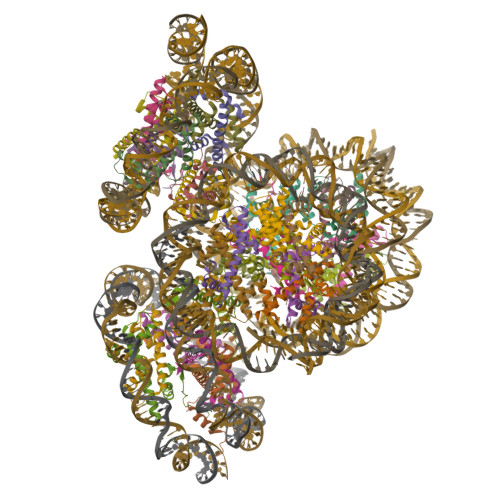 Structure 9W6G